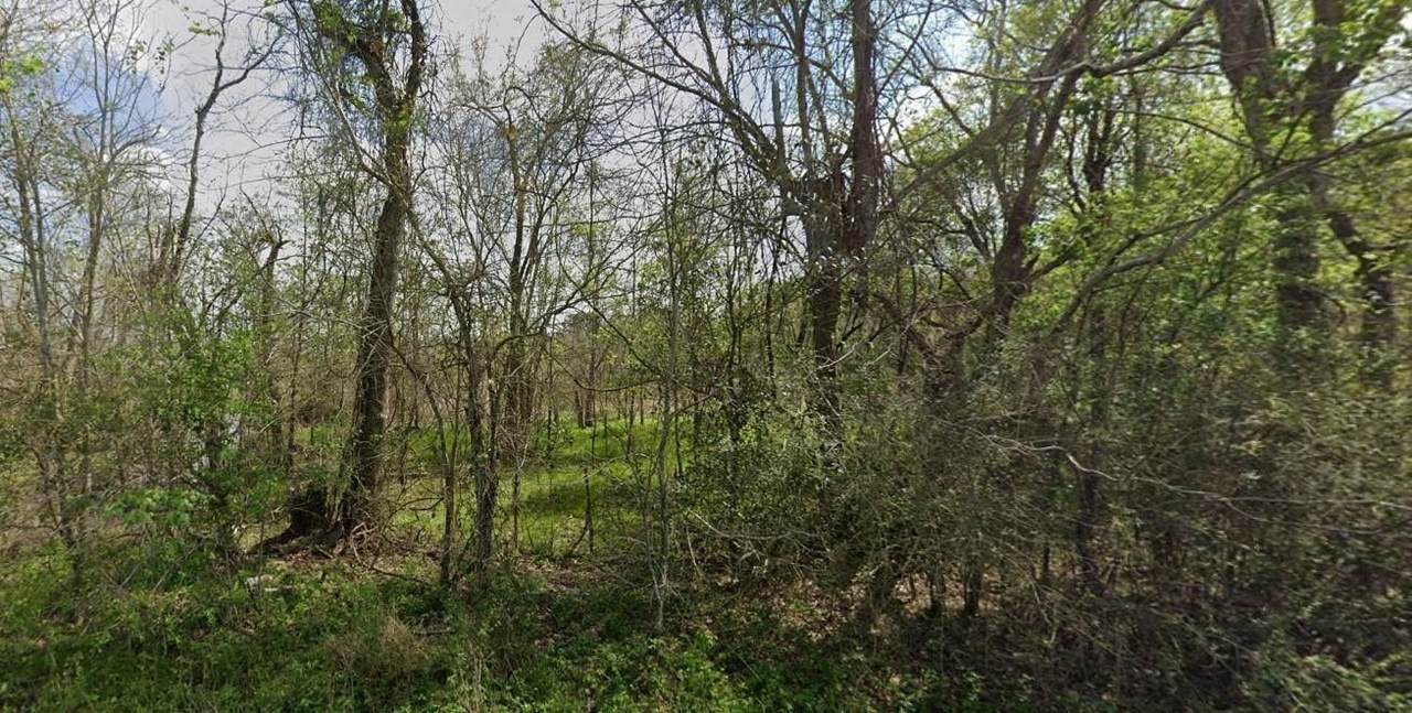 831 Drews Landing Rd - Photo 1