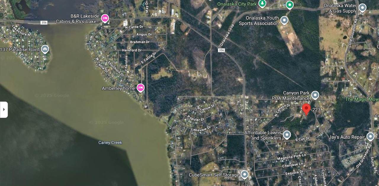 223 Live Oak Lane - Photo 1