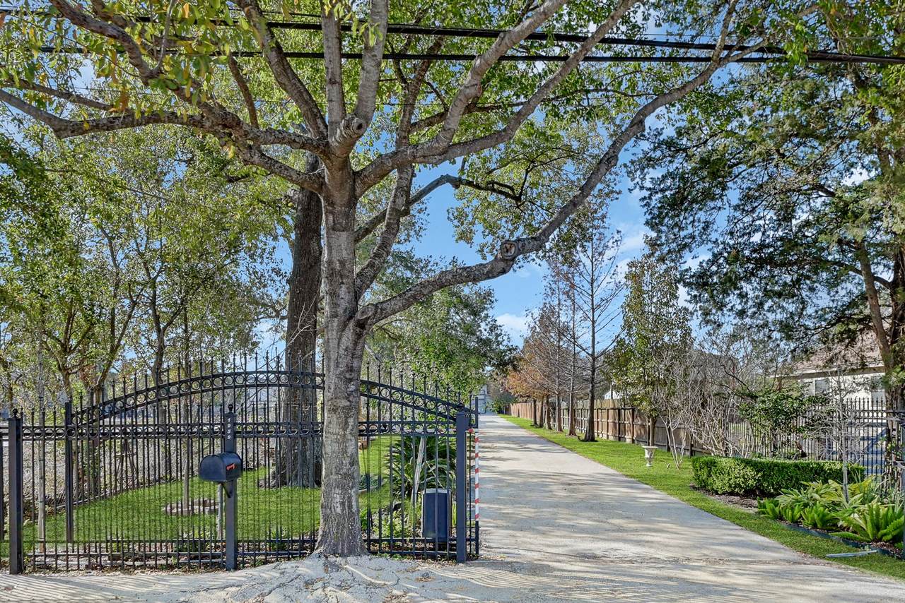 1959 Knoll Street - Photo 1