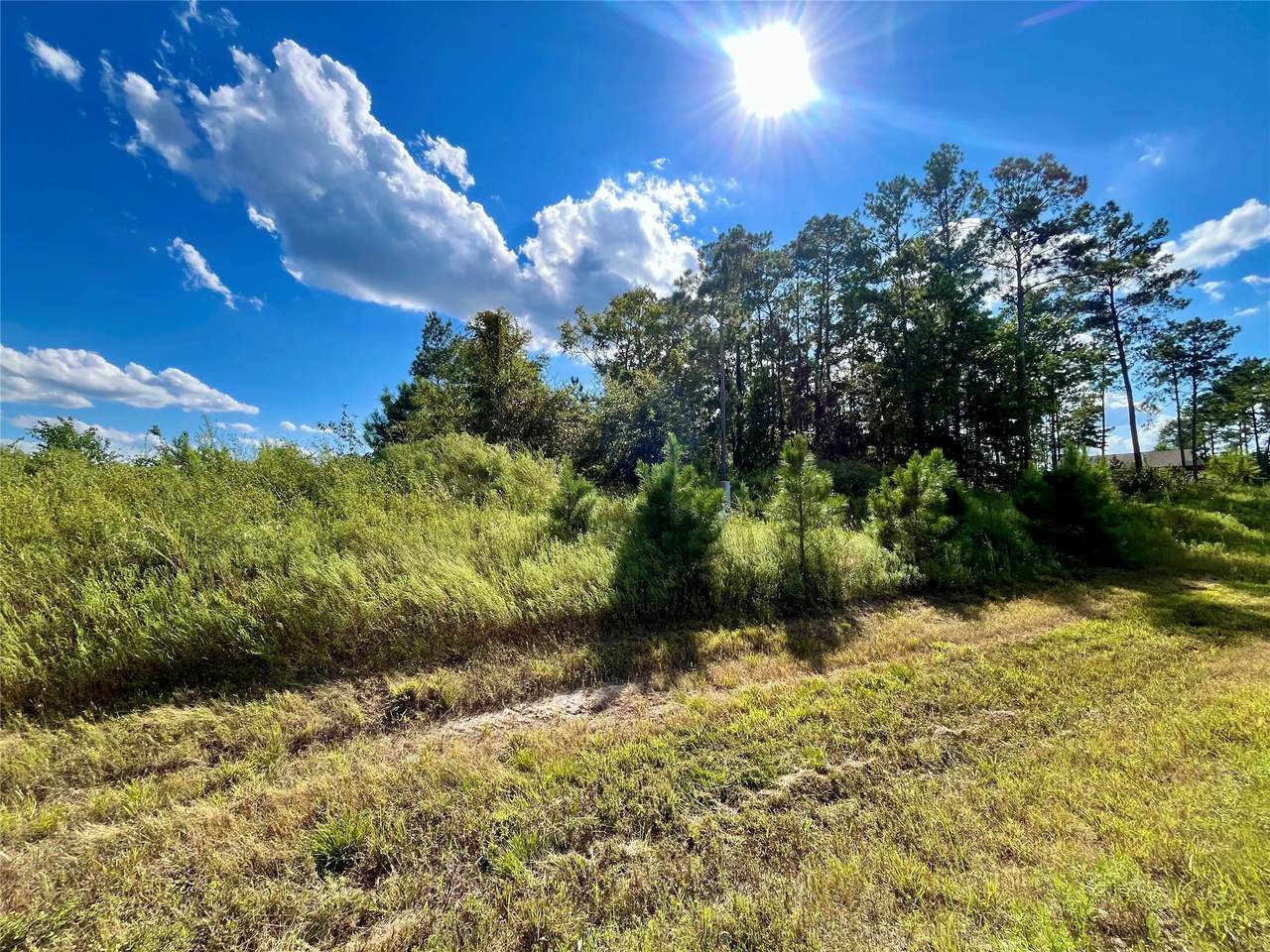 164 Road 5263B - Photo 1