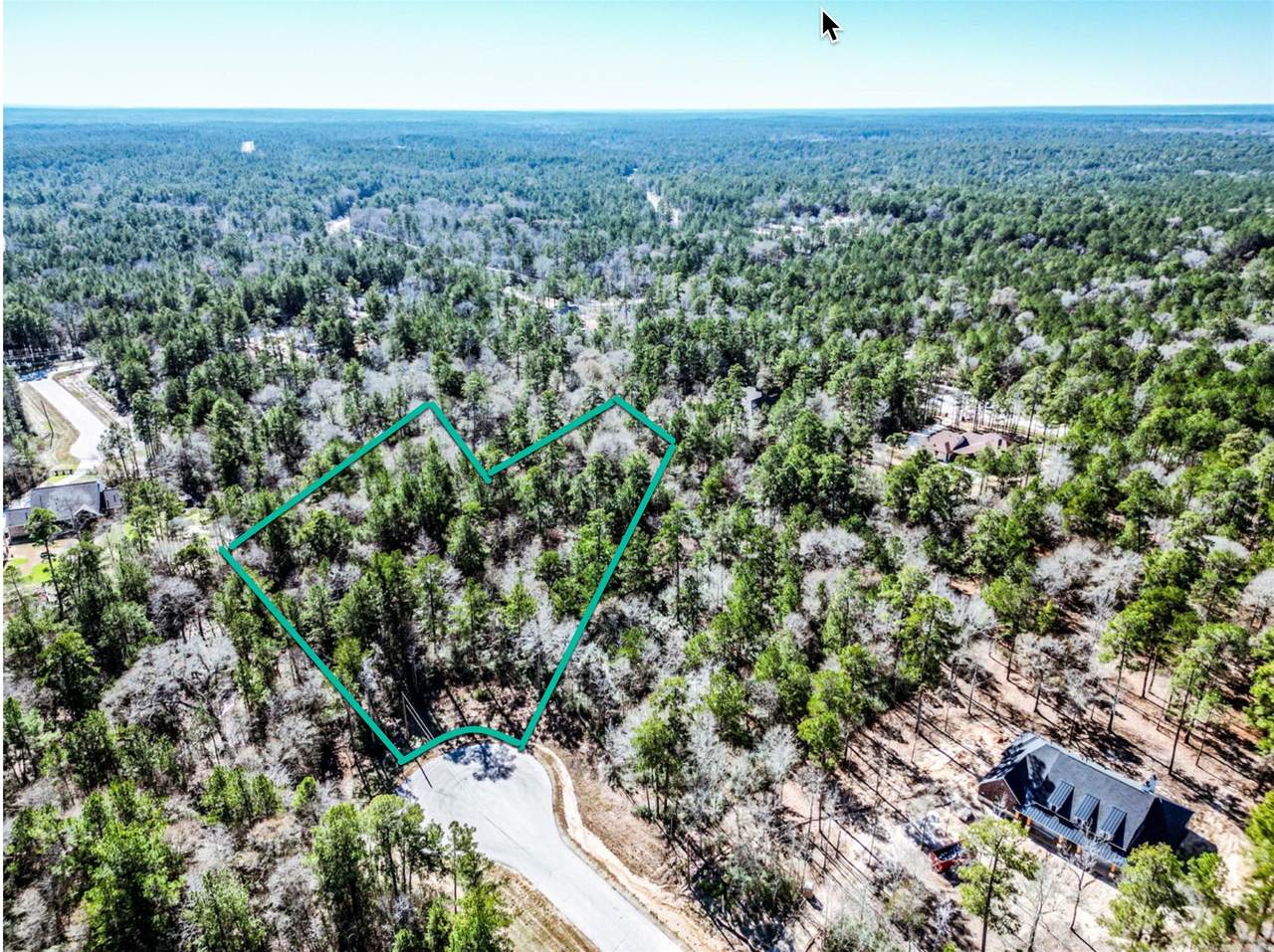 lot 42 Pyrite Court - Photo 1