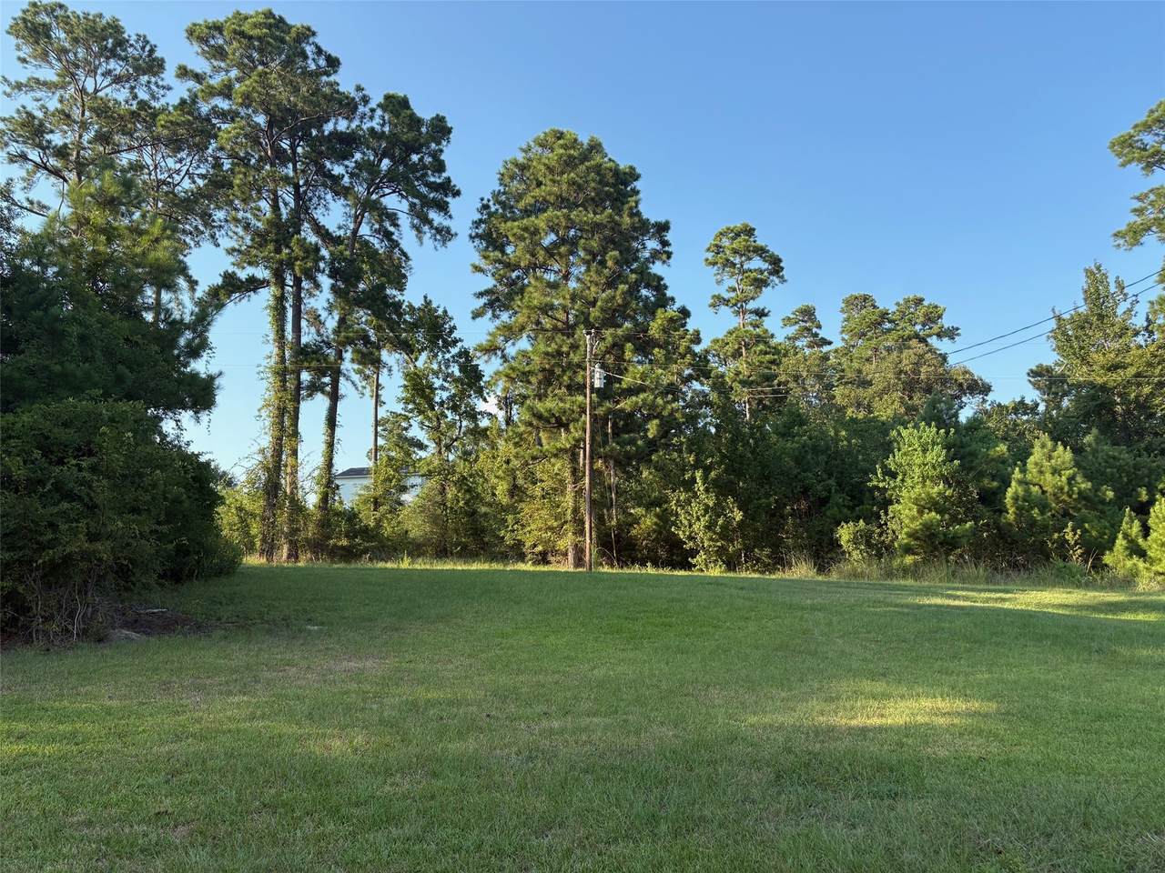 145 Pine Grove Drive - Photo 1