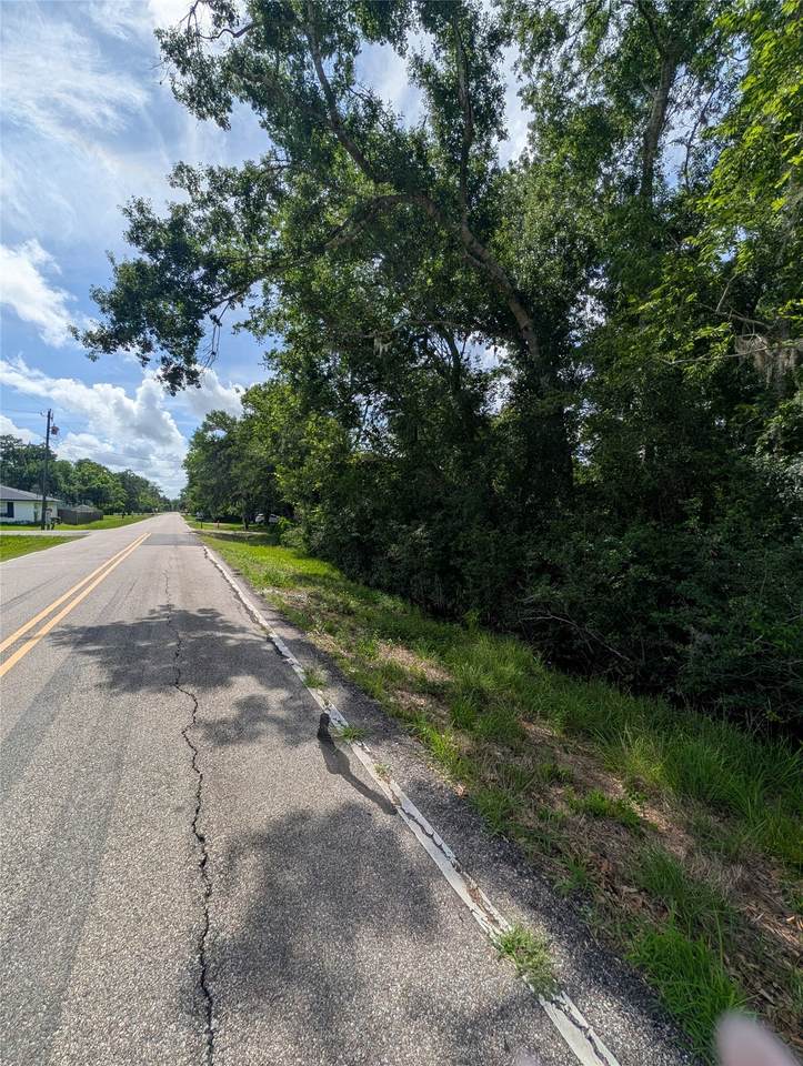 000 Oak Forest Street - Photo 1