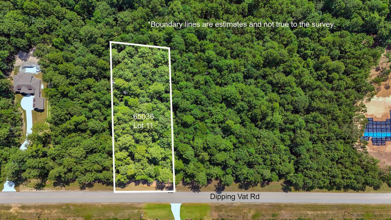 1.52 acres Dipping Vat Road - Photo 1