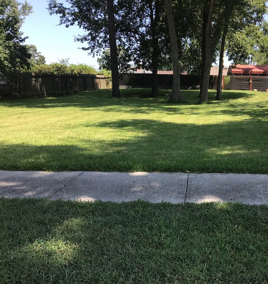 6723 Sandy Oaks Drive - Photo 1