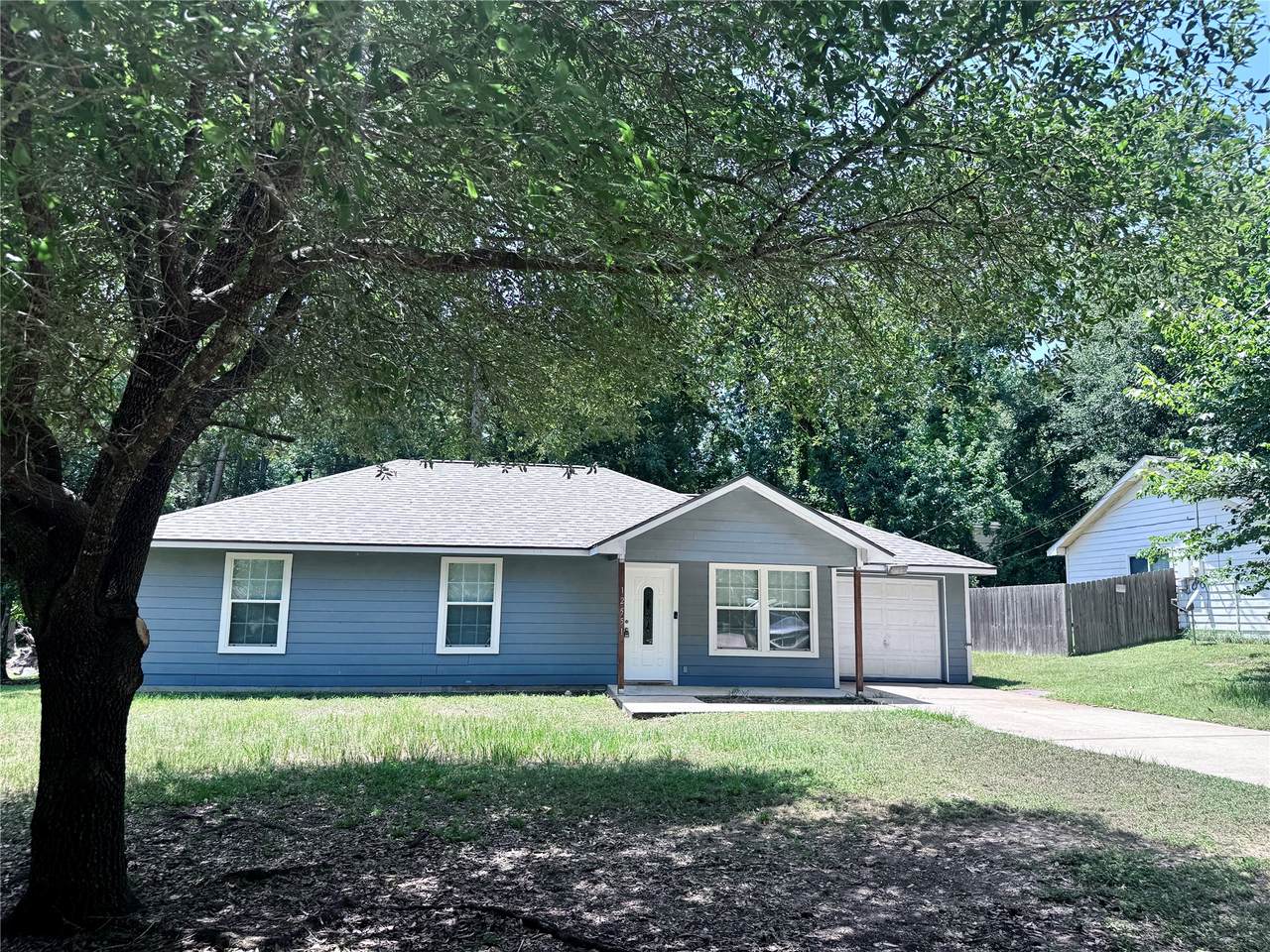 12551 Royal Lake Drive - Photo 1