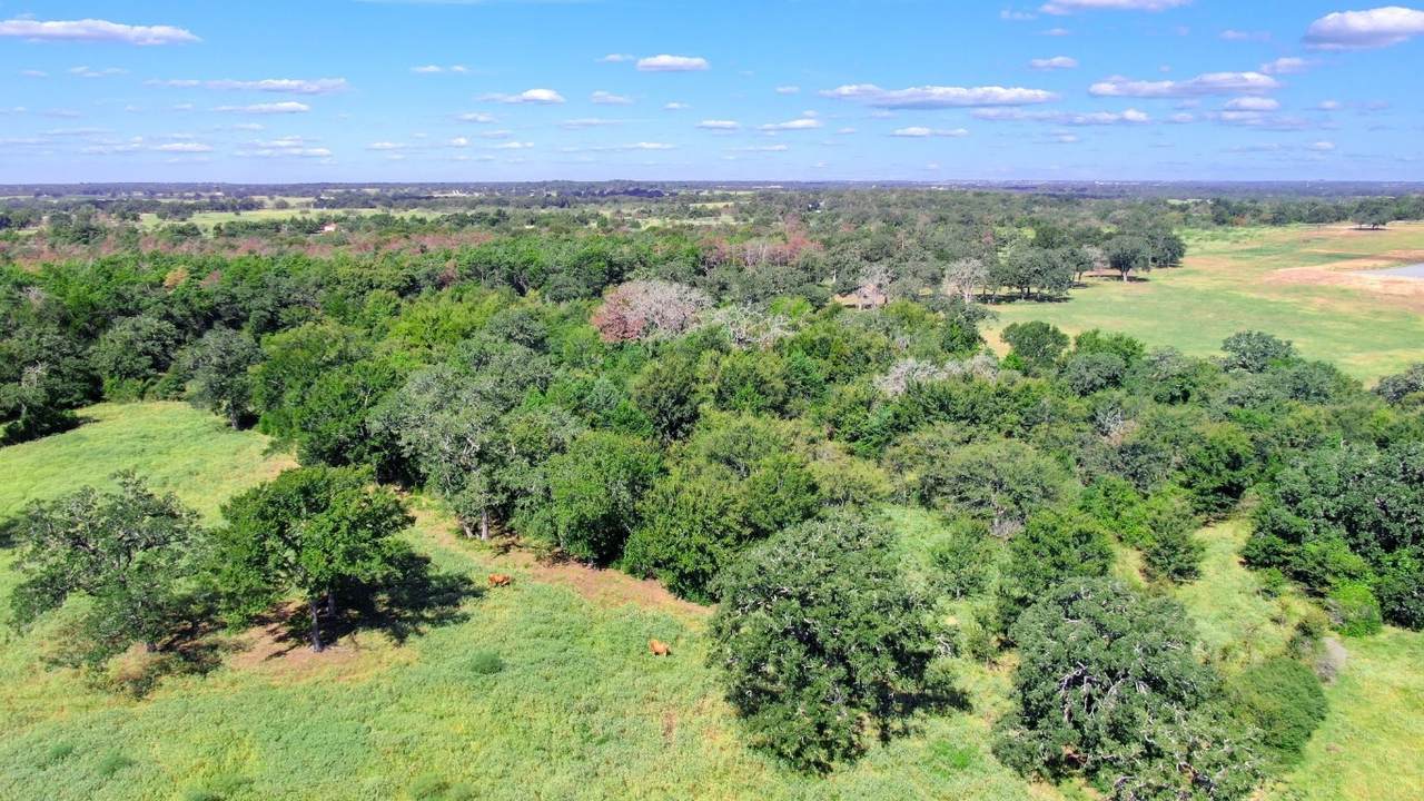 TBD Cr 227 - Photo 1