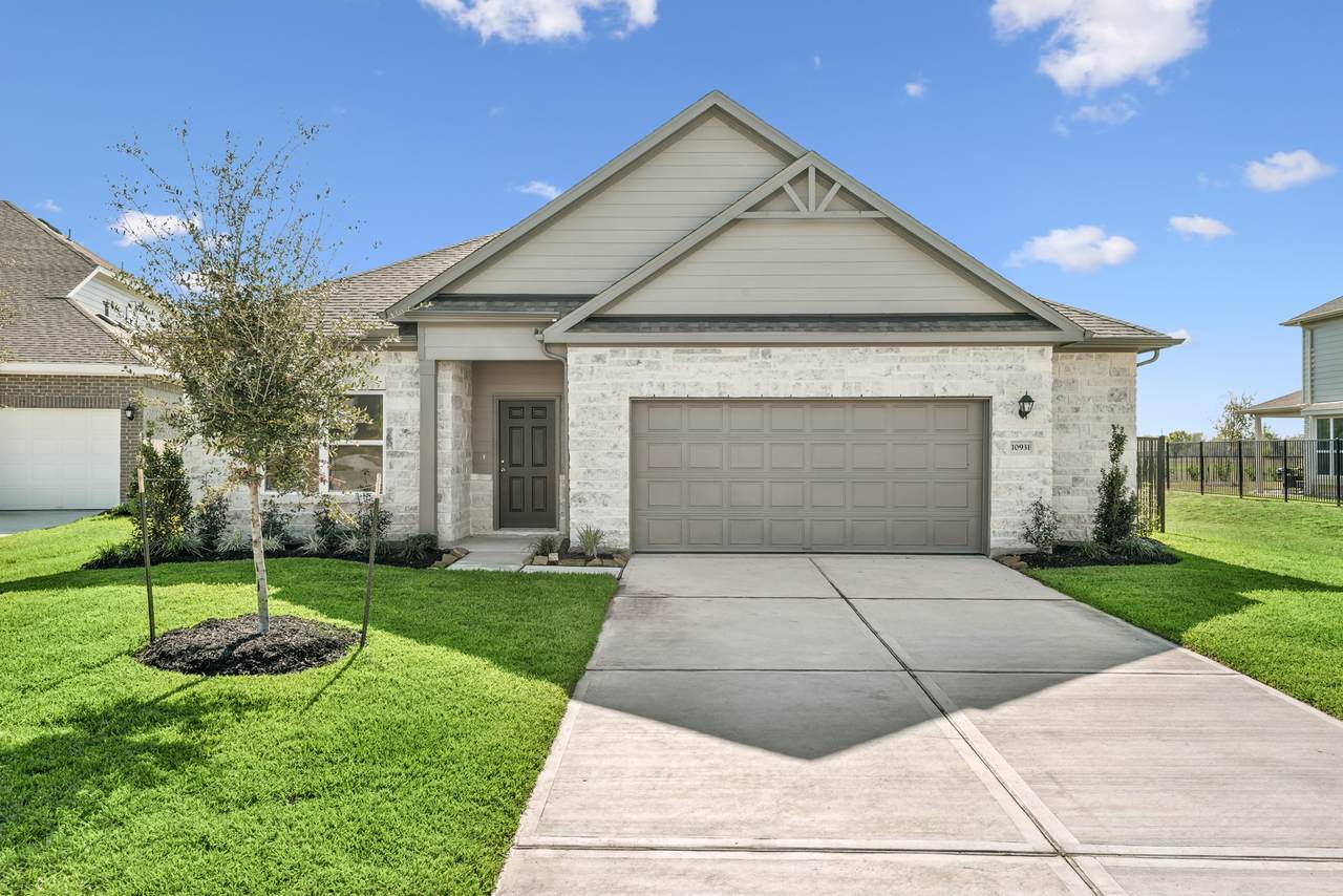 10931 Amador Peak Drive - Photo 1