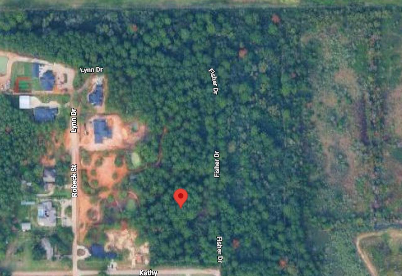 19611 Fisher Drive - Photo 1