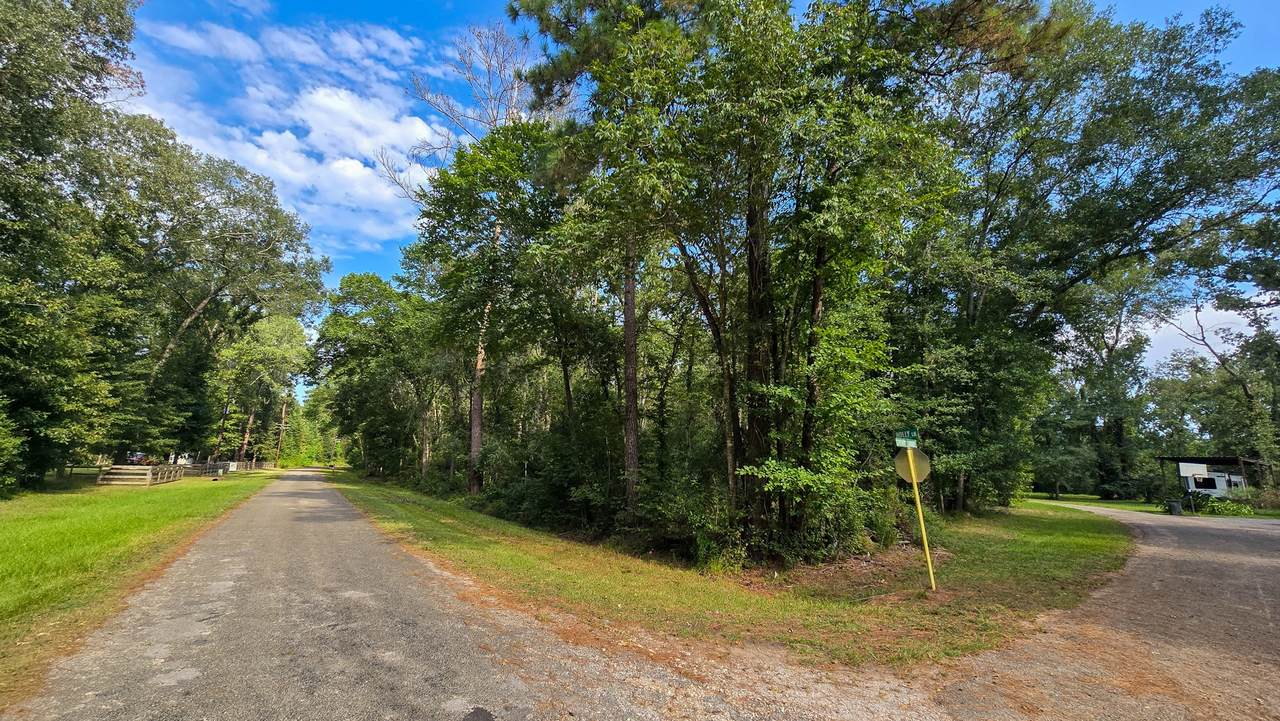 1 Cherry Laurel Ln - Photo 1