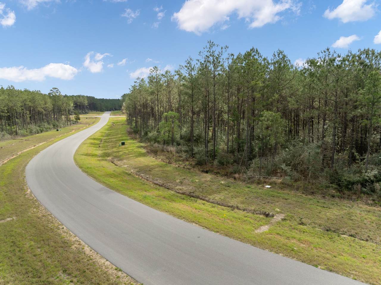 16039 Forest Mill Road - Photo 1