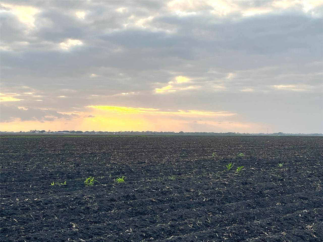 00 County Rd 460 - Photo 1