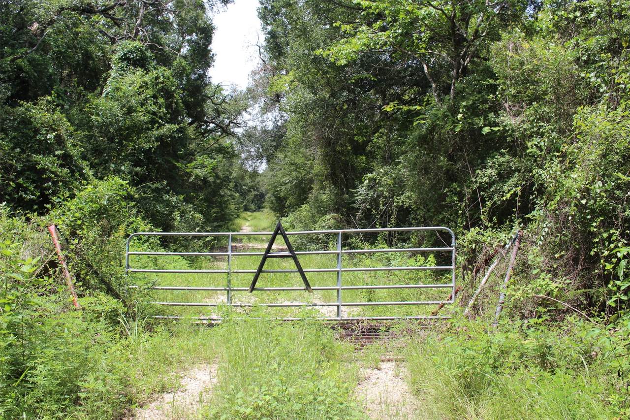 1306 County Road 3455A - Photo 1