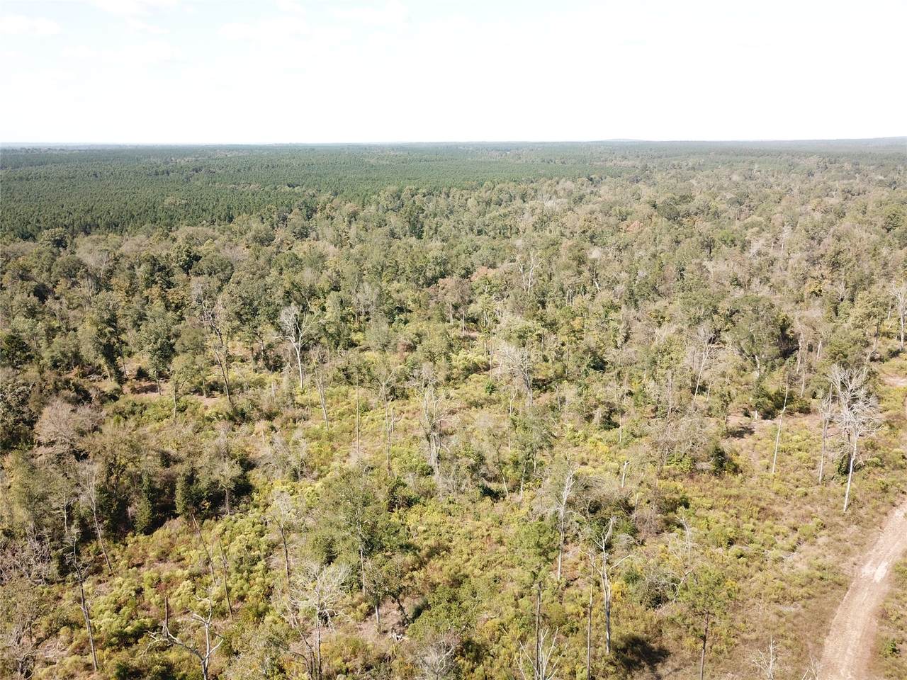 off Evans Gann Road - Photo 1