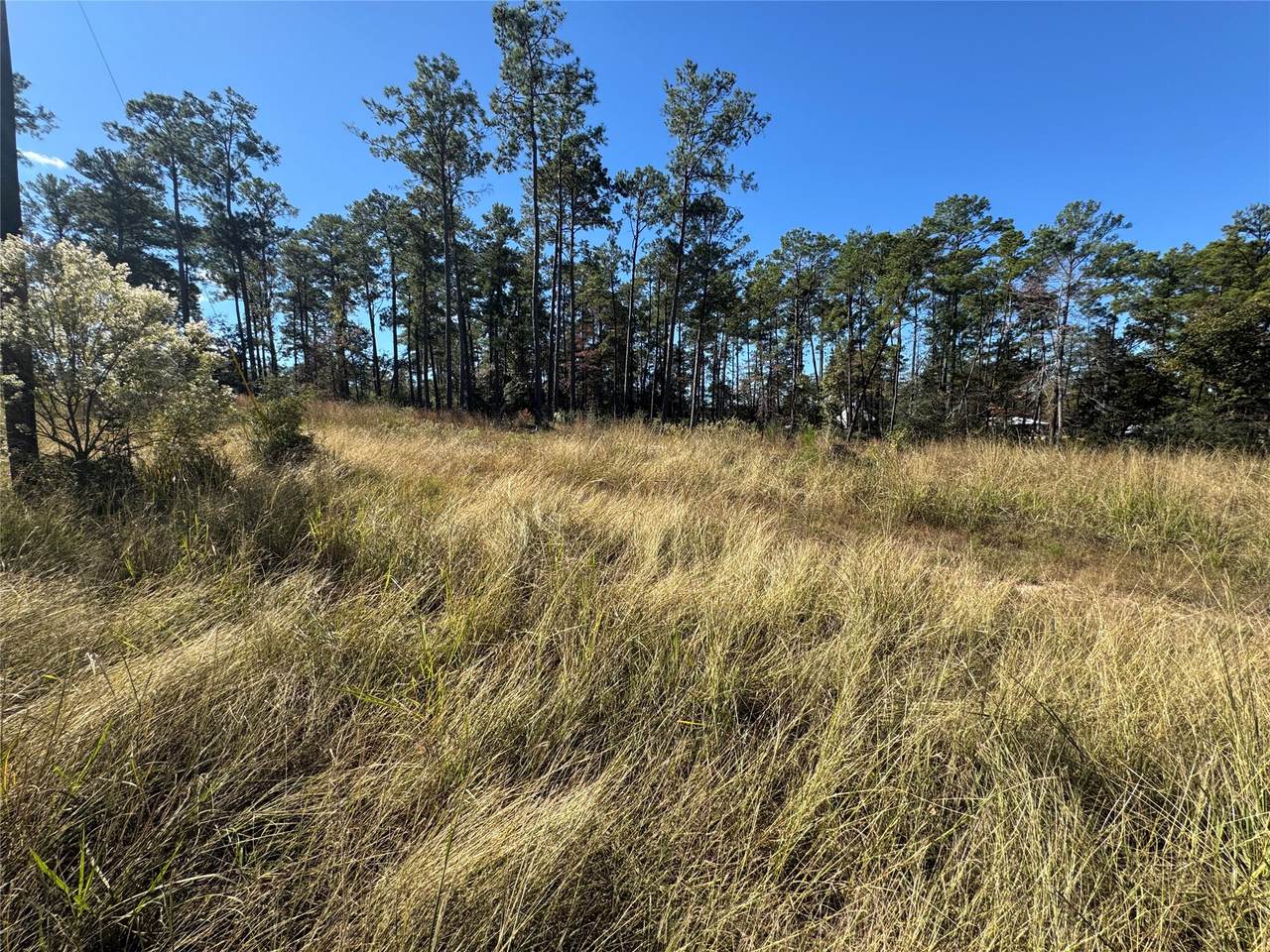 064 Private Road 6026 Tract 1-64 - Photo 1