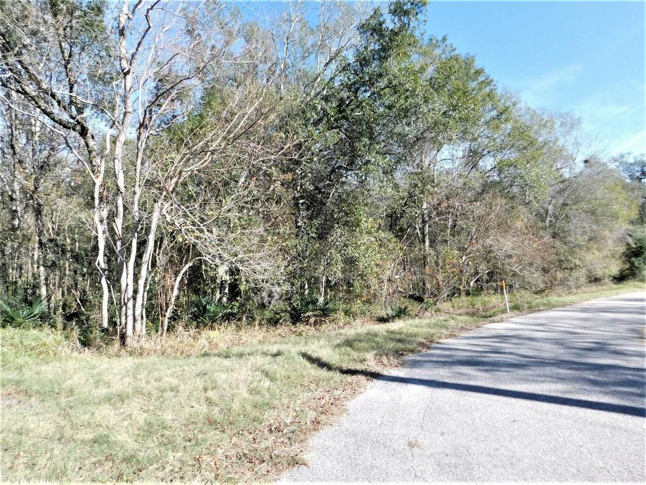 0 Brazos River Drive - Photo 1