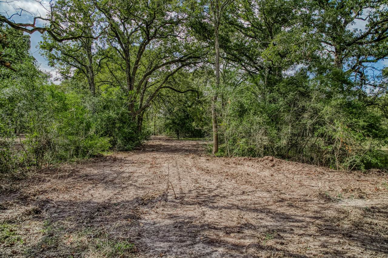 Tract 2 Sun Oil Road - Photo 1