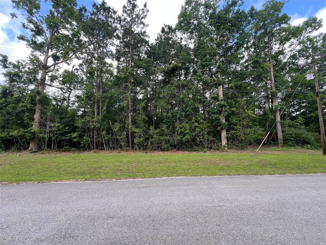 319 Lost Lake Trail - Photo 1