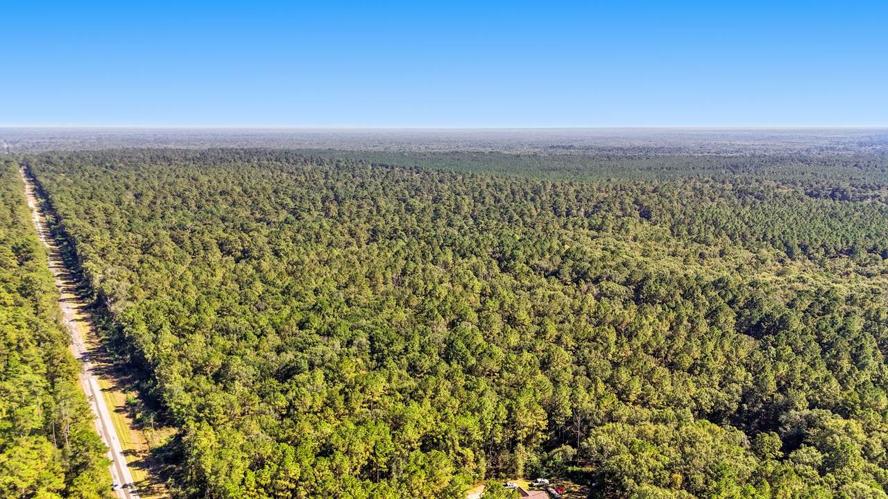 000 Simmons Bottom Road - Photo 1