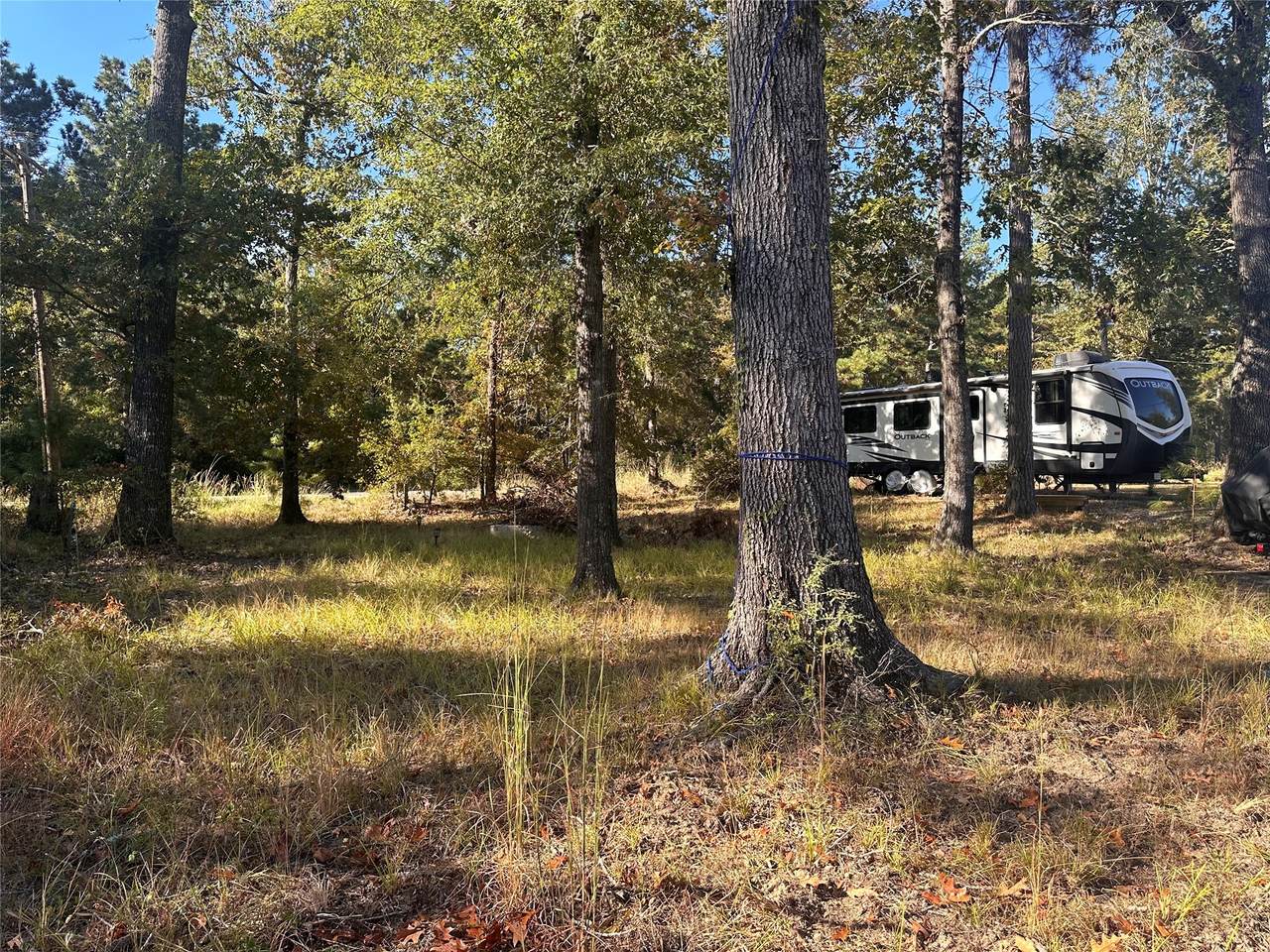 476 Woodland Shores Drive - Photo 1