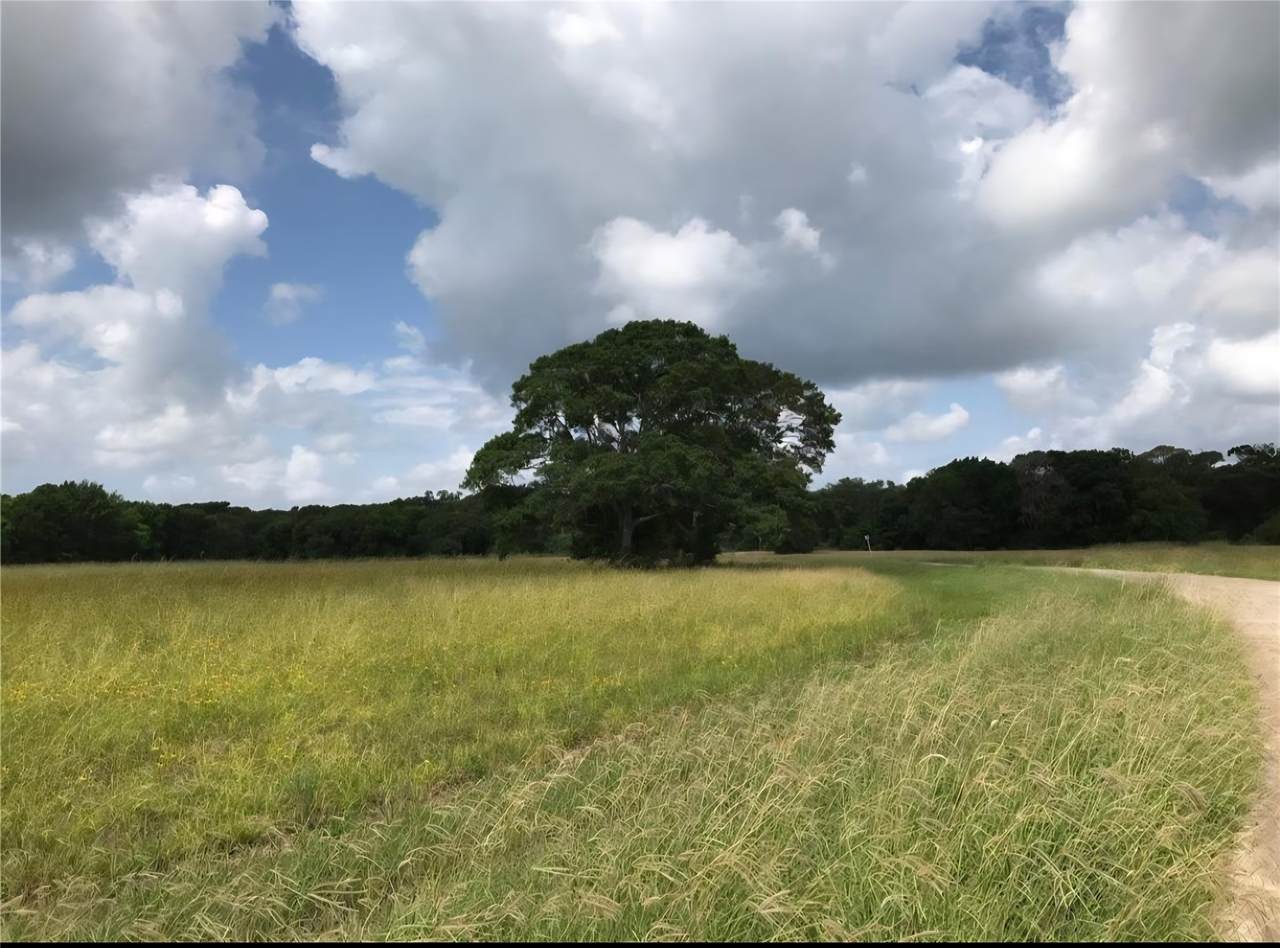 1007 Chuckwagon Trail - Photo 1