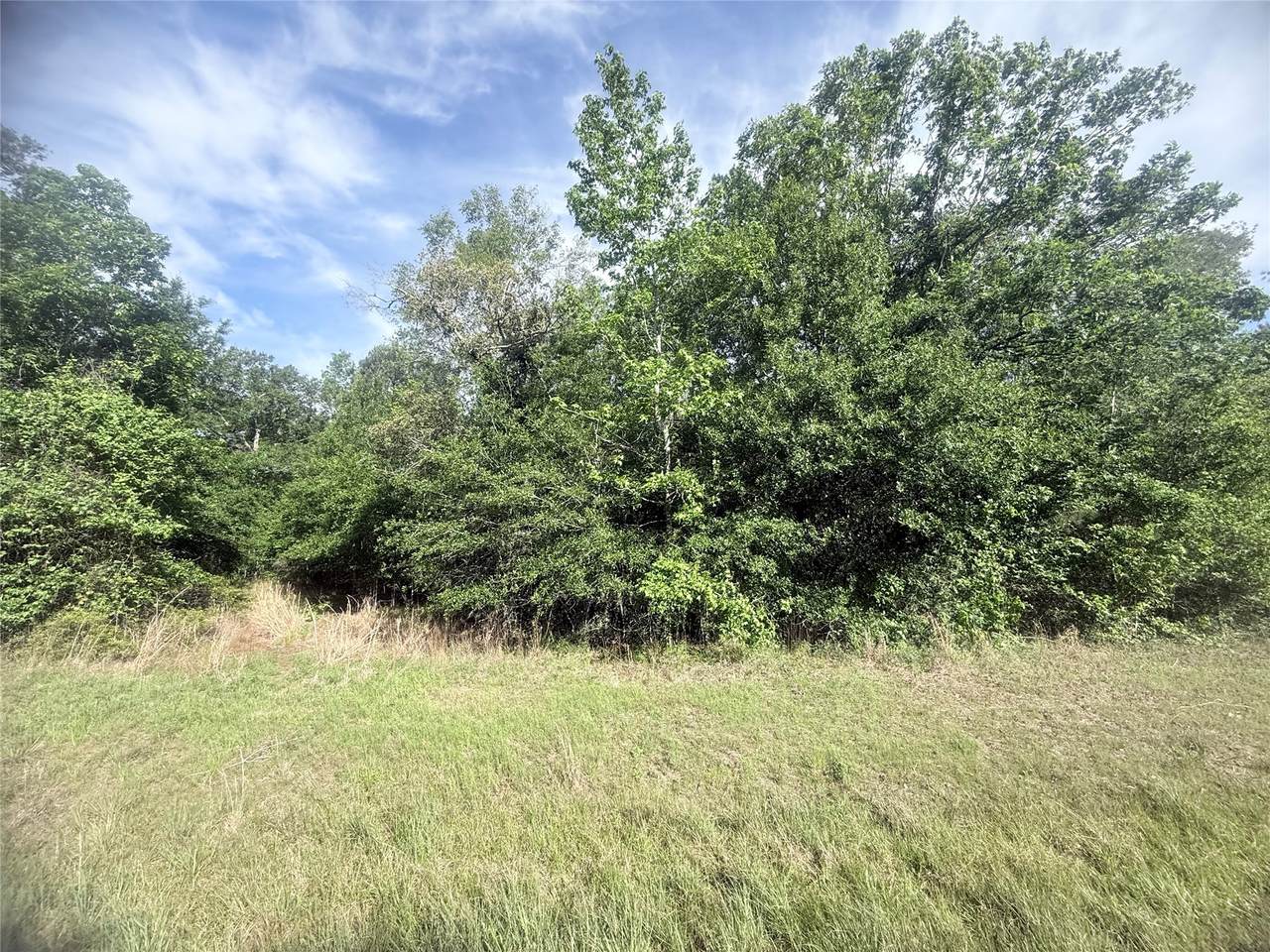 21203 Grant Lake Circle - Photo 1