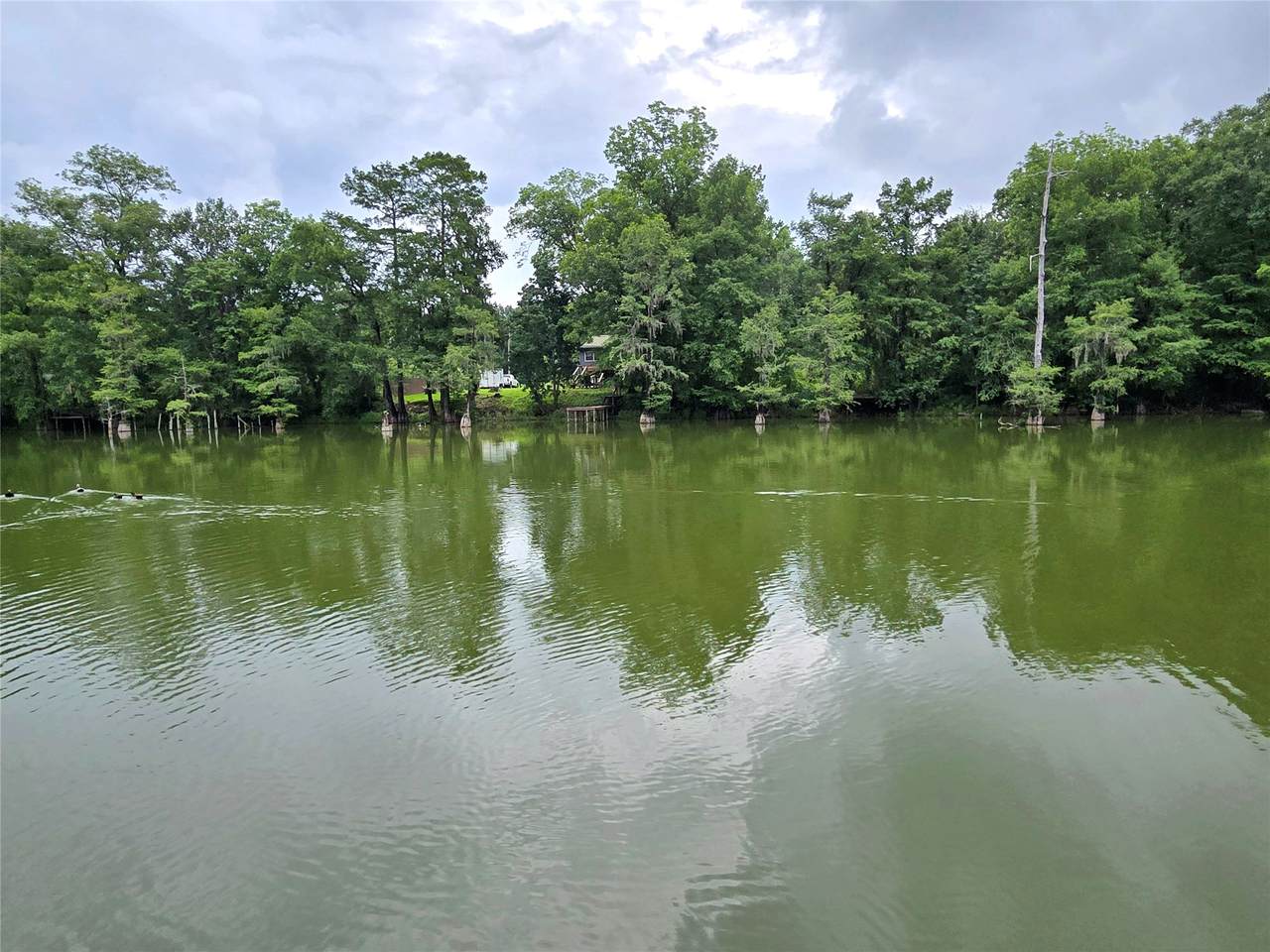 403 County Road 2869 - Photo 1