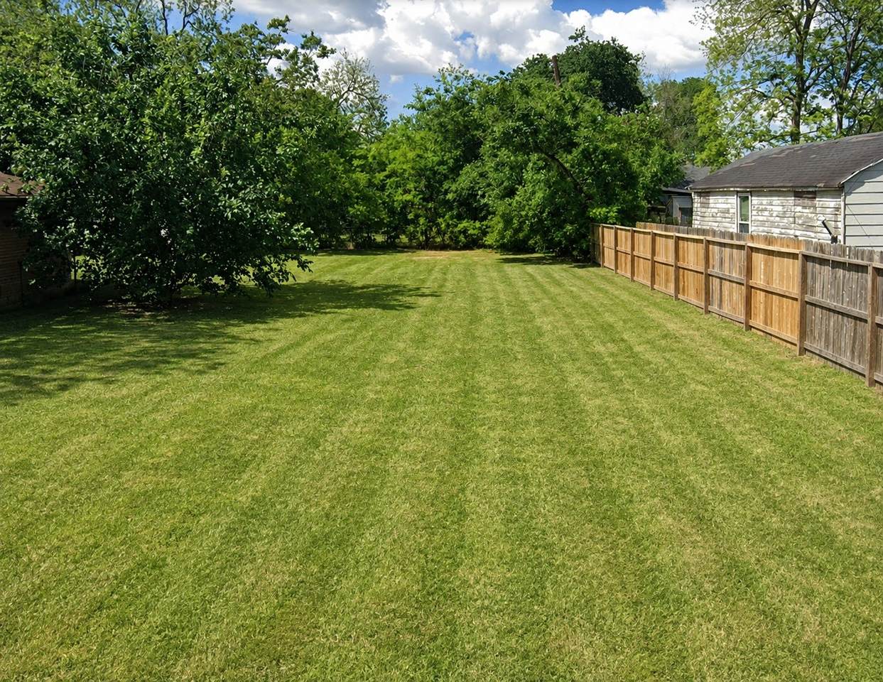 821 Barkley Street - Photo 1
