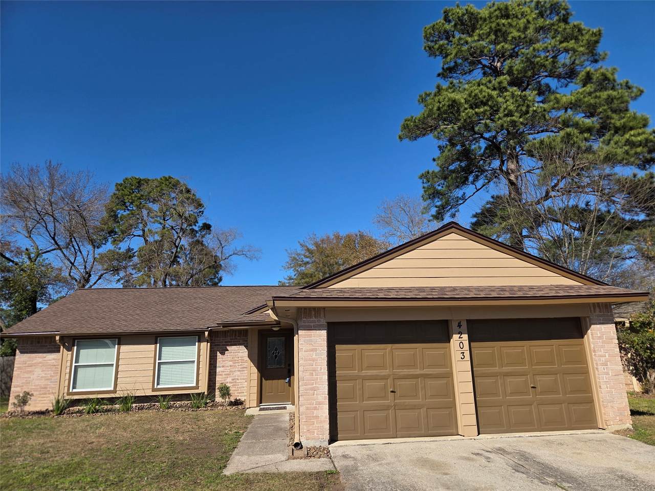 4203 Spinks Creek Lane - Photo 1