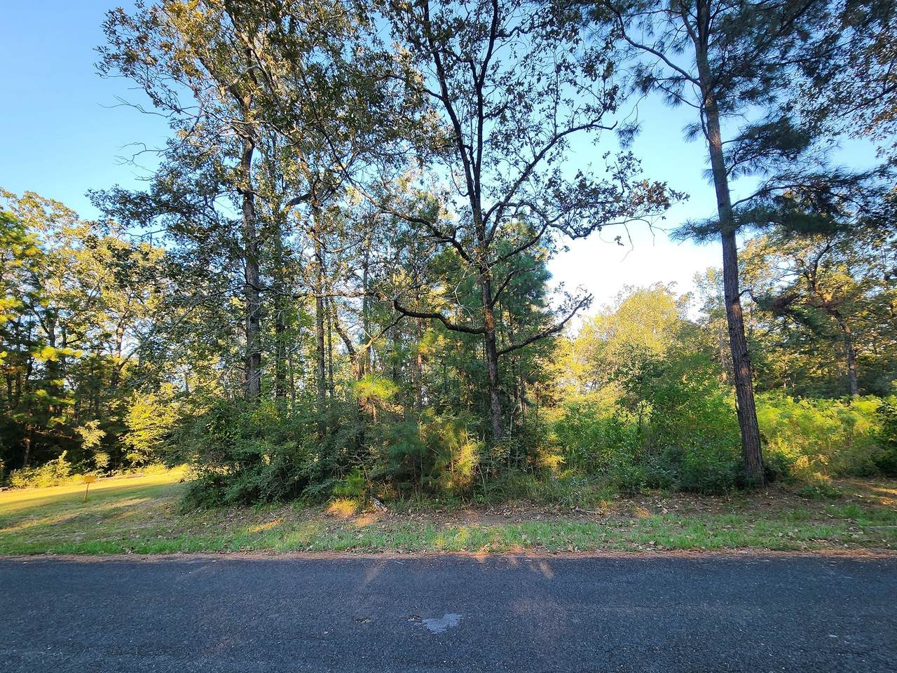 0 Hackberry Drive - Photo 1