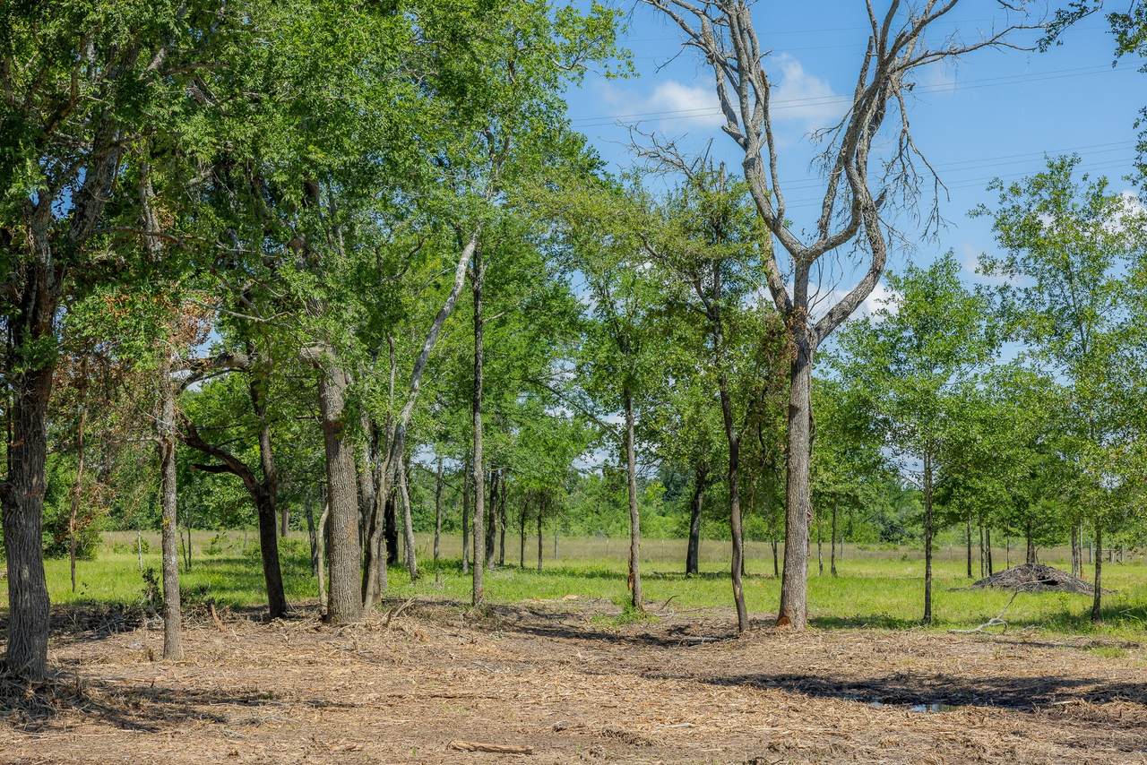 6575 Atakapan Trail - Photo 1