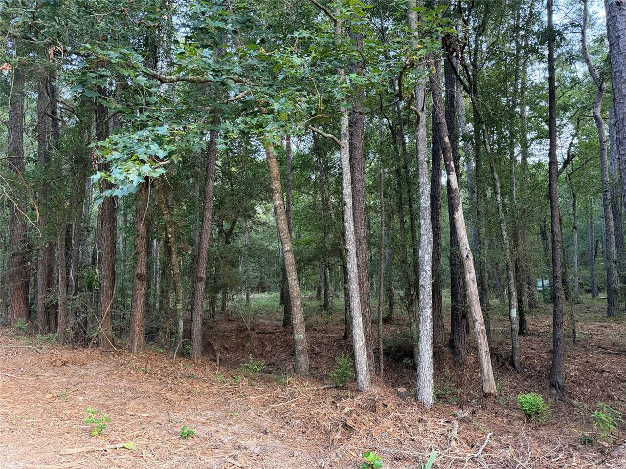 https://bt-photos.global.ssl.fastly.net/harmls/1280_boomver_1_84343643-2.jpg