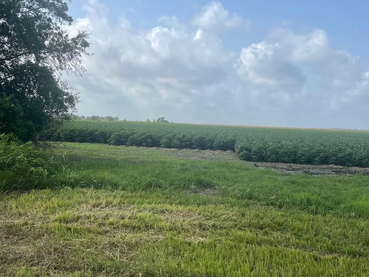 10815 Koym Road - Photo 1