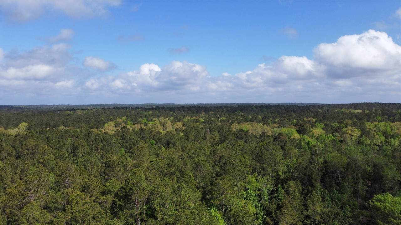 1648 Timber Road 23 - Photo 1