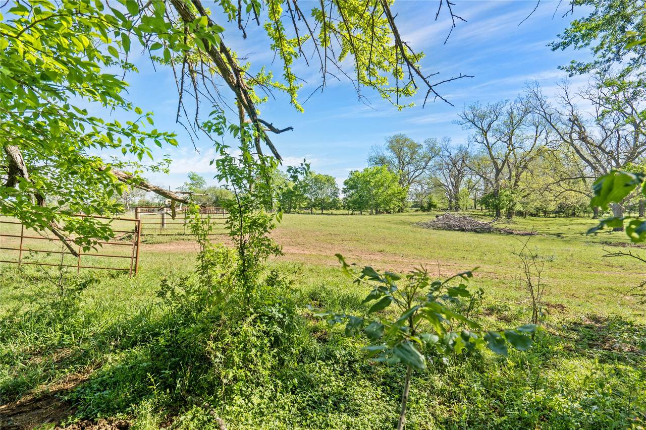 6504 Viereck Road - Photo 1