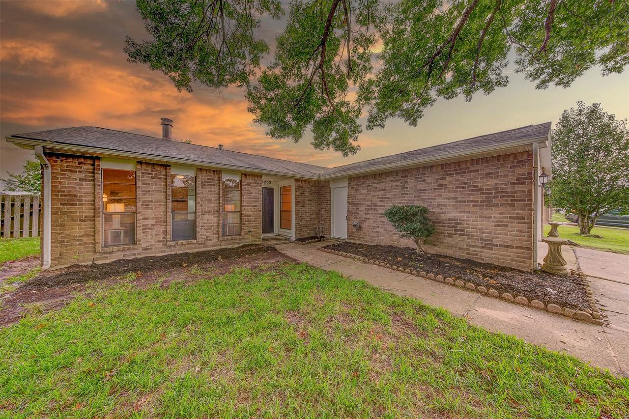 17203 Ranch Country Road - Photo 1