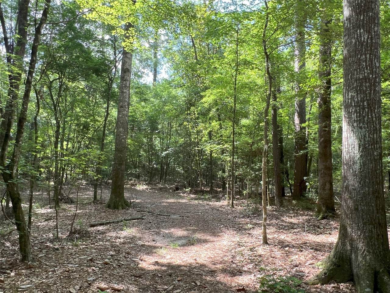 TBD Upper Leggett Road - Photo 1