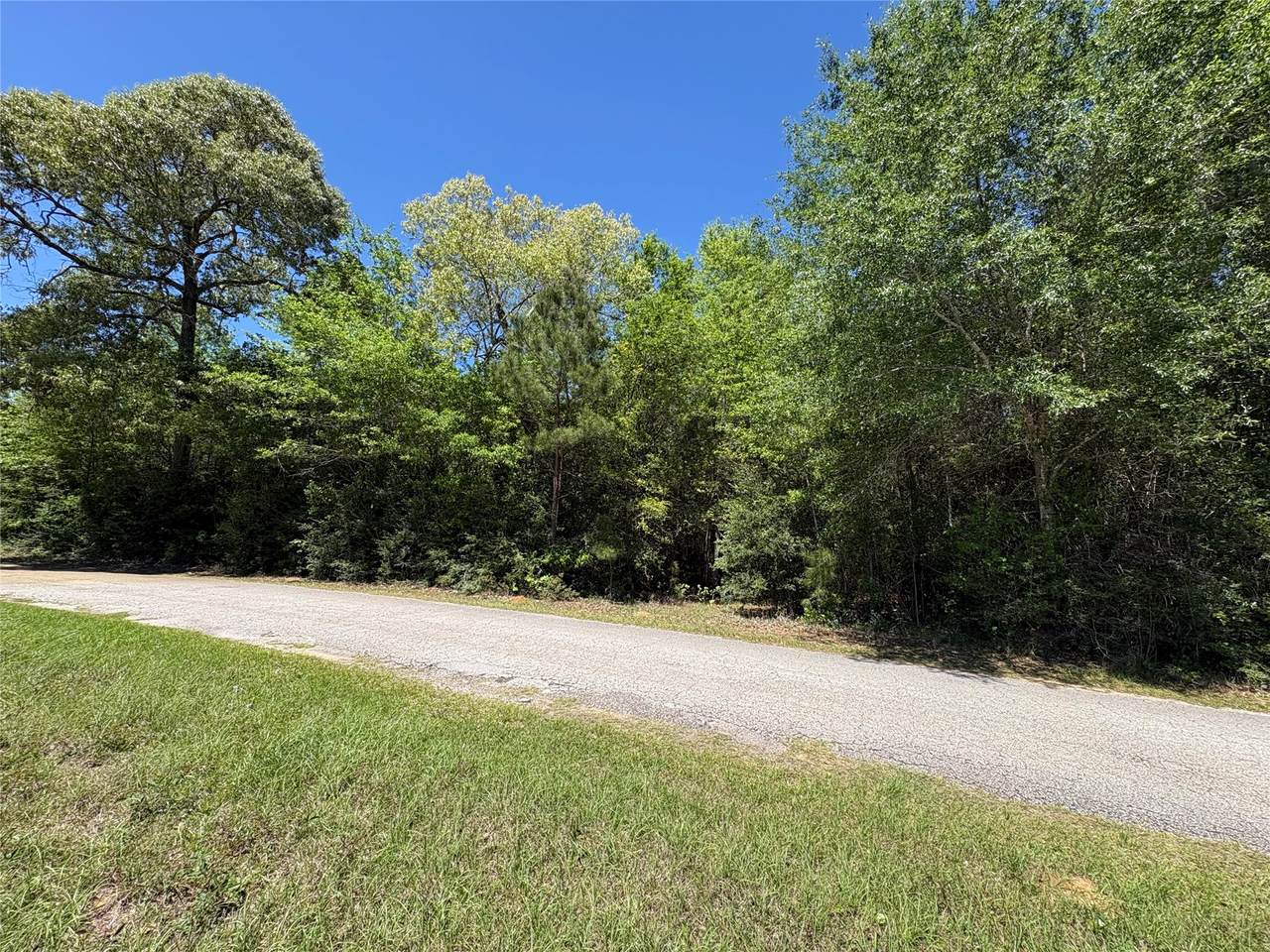 000 Williford - Photo 1