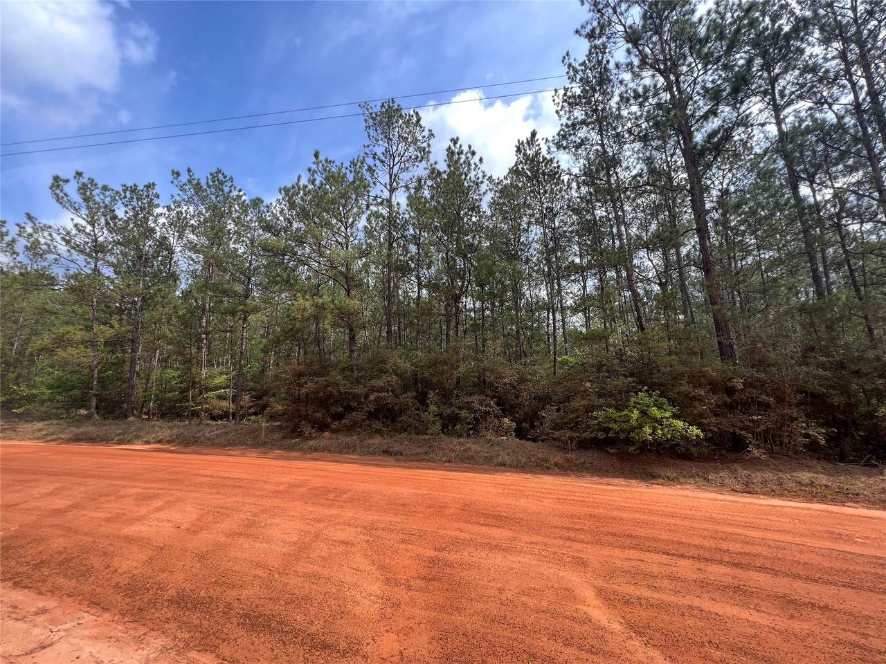 0 Forest Valley Drive - Photo 1