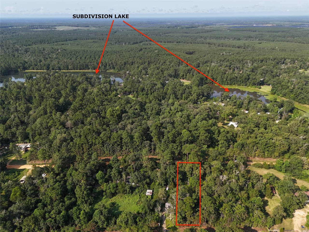 TBD Ole Long Pull Road - Photo 1