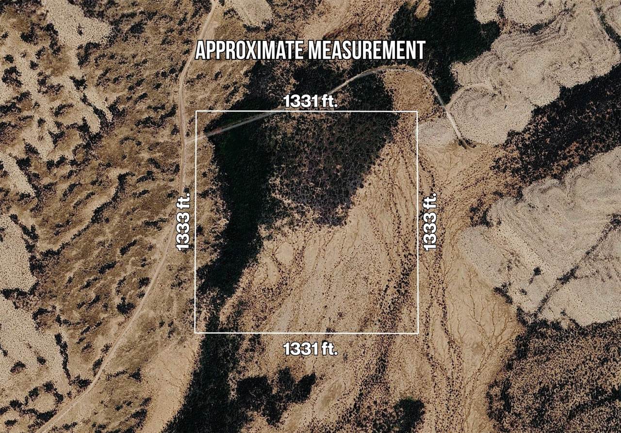 000 North Star Road - Photo 1
