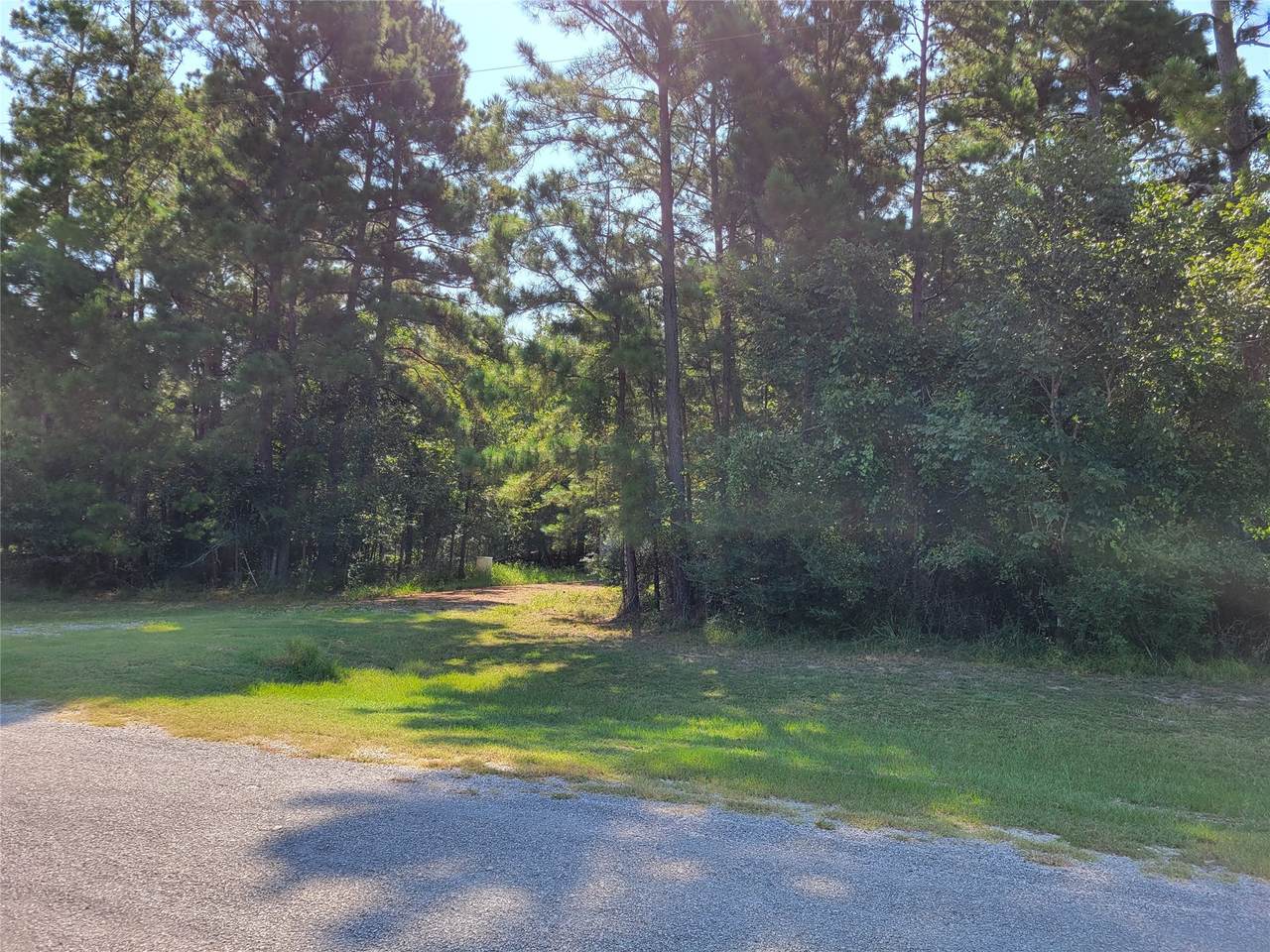 79 Roundabout Lane - Photo 1