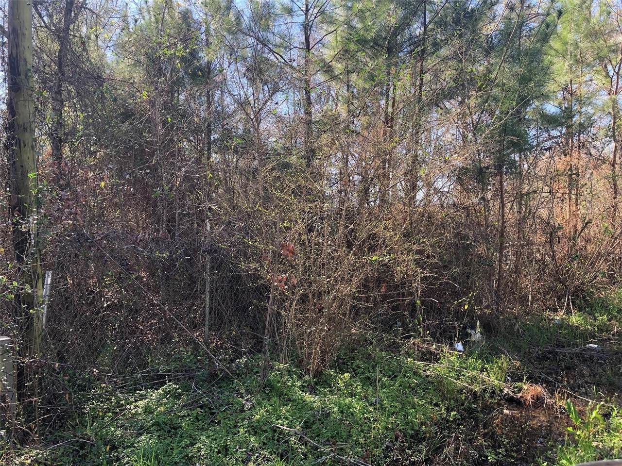 0 Piney Lane - Photo 1