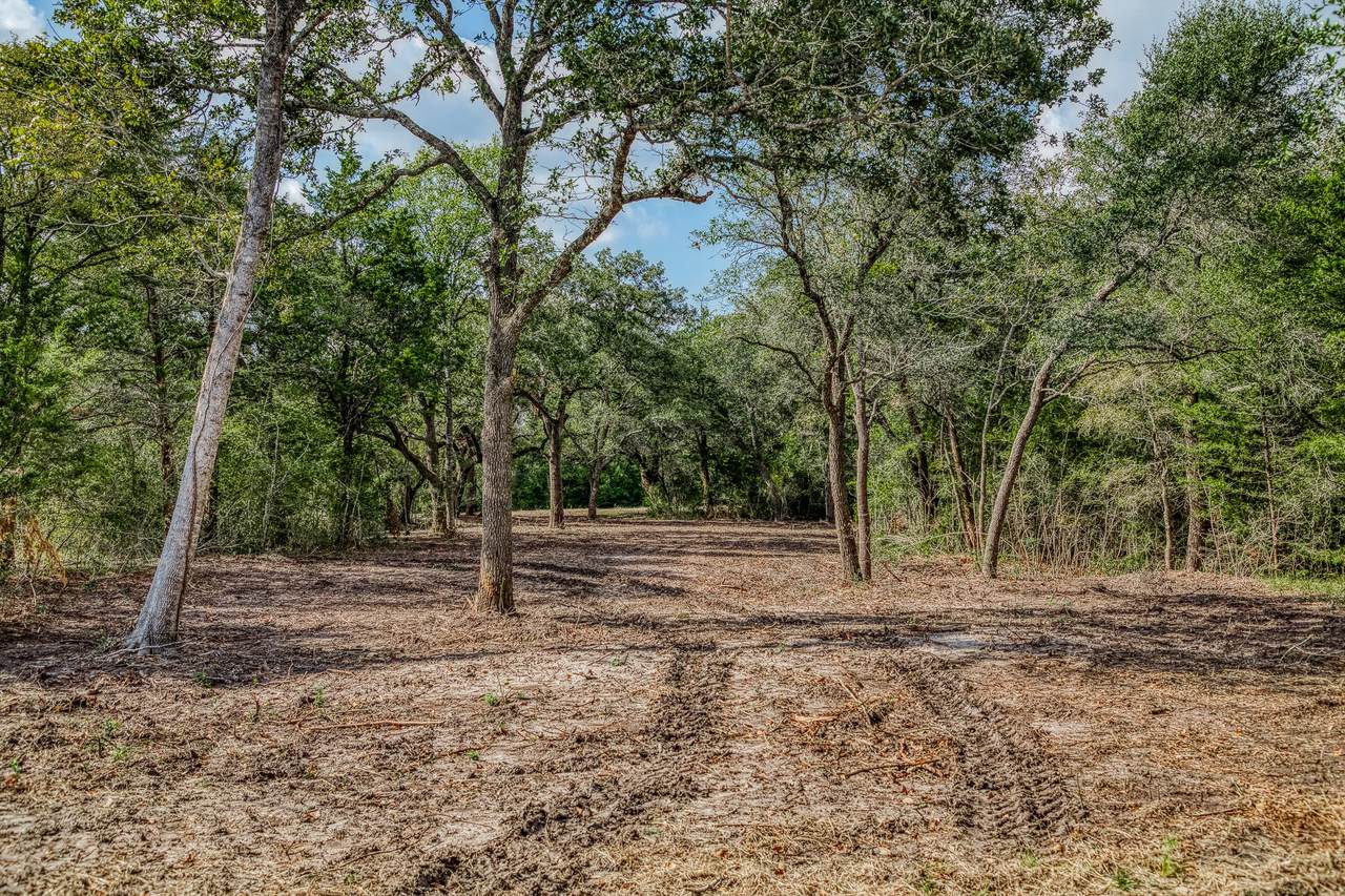 Tract 5 Sun Oil Road - Photo 1