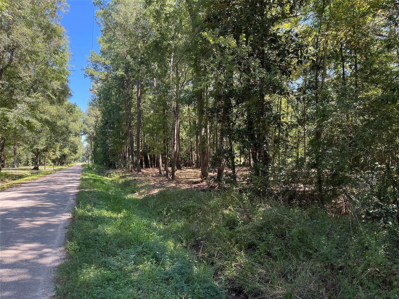 0 County Road 3812 - Photo 1