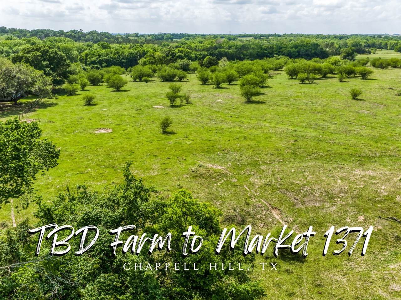 TBD Farm To Market 1371 - Photo 1