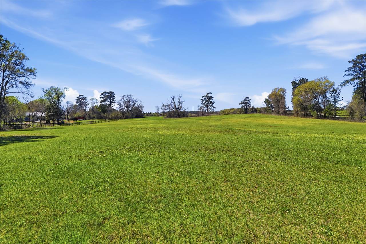 27390 Fm 1097 West - Photo 1