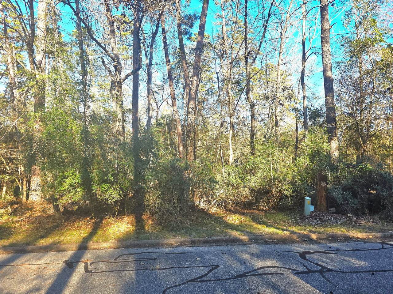 TBD Burmuda Dune Drive - Photo 1