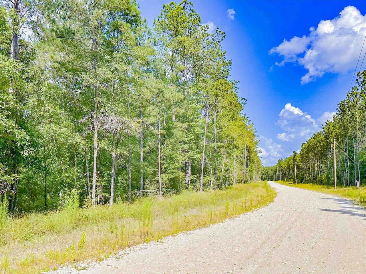 9010 Carter Ranch Road - Photo 1