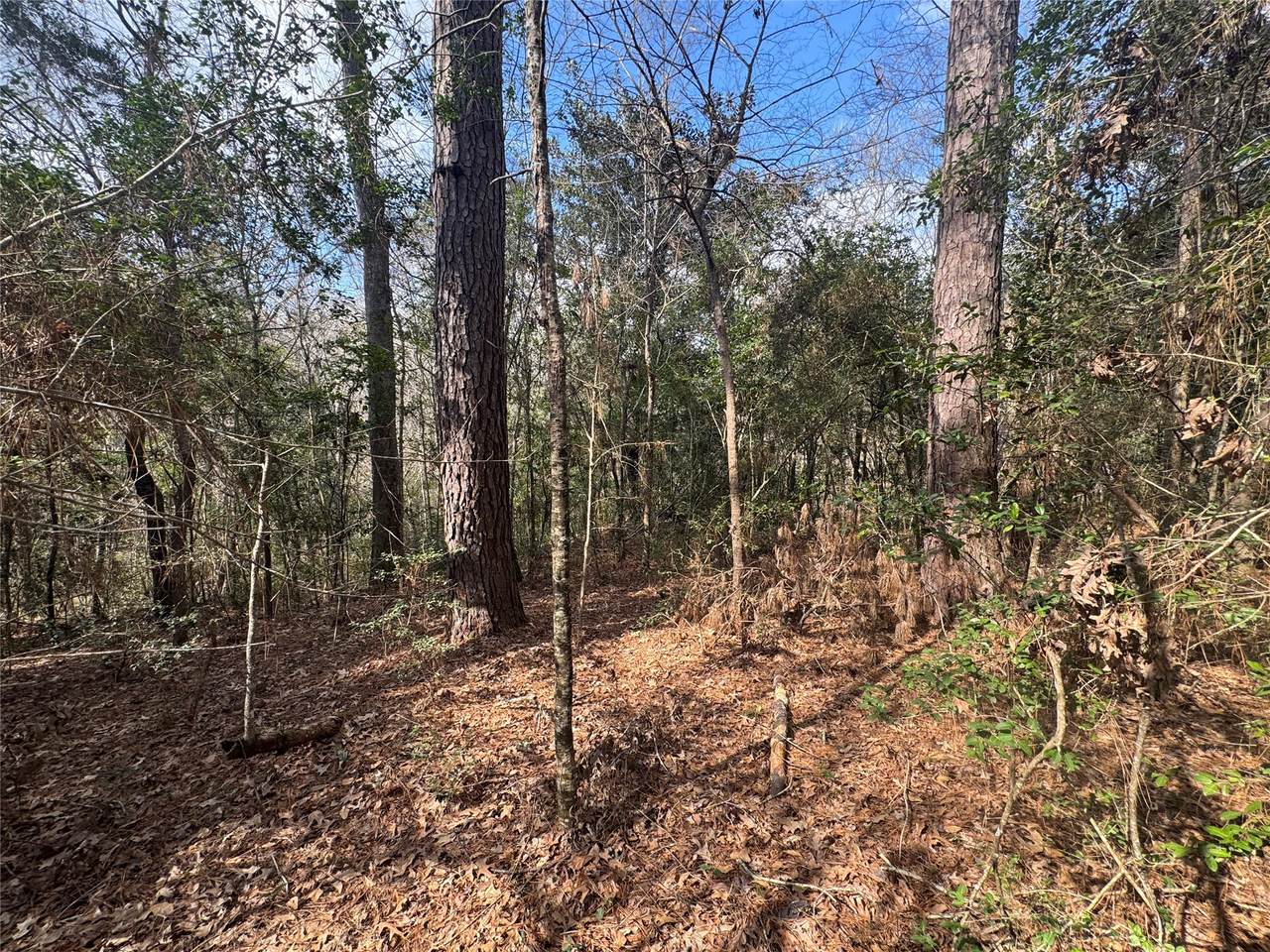 Lot 219 Mallard Drive - Photo 1